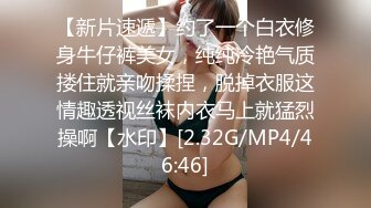 紧身旗袍，性感肉丝美腿