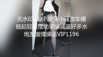 无水印11/7 淫荡小骚货车模翘起屁股摆动求操骚逼好多水炮友激情操逼VIP1196