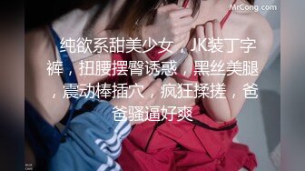 和两个少妇约双飞，肉棒让两个少妇都爽到嗷嗷叫