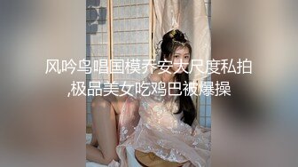 海口少妇吃大鸡巴