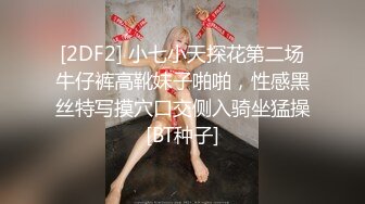 TWTP 大神潜入商场女厕全景偷拍多位美女嘘嘘第六季 (10)