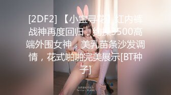 [2DF2] 【小宝寻花】红内裤战神再度回归，约操3500高端外围女神，美乳苗条沙发调情，花式啪啪完美展示[BT种子]