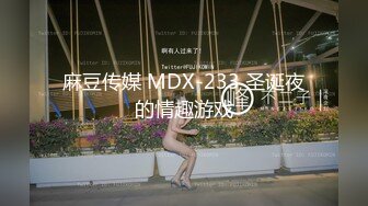 麻豆传媒 MDX-233 圣诞夜的情趣游戏