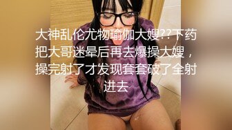 大象傳媒 AV0054 巨乳小三的計謀