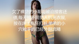 【新片速遞】美少妇女上位啪啪，表情享受销魂，无套操逼特写私处后入快速打桩