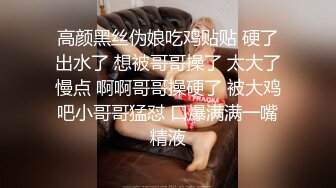 淫荡母狗穿着豹纹内内黑丝制服口爆舔精