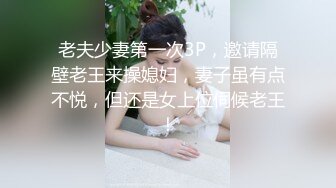 【小罗寻欢】老探花回归28岁小少妇，脱了衣服身材真不错，花式啪啪各种角度姿势，撸管佳作