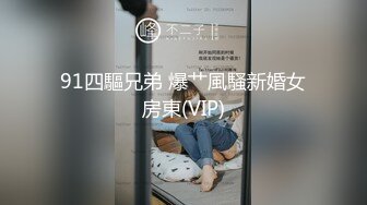 91四驅兄弟 爆艹風騷新婚女房東(VIP)