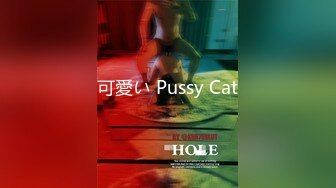 可愛い Pussy Cat