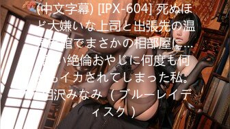 (中文字幕) [IPX-604] 死ぬほど大嫌いな上司と出張先の温泉旅館でまさかの相部屋に… 醜い絶倫おやじに何度も何度もイカされてしまった私。 相沢みなみ （ブルーレイディスク）