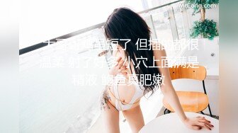 长沙少妇后入小合集