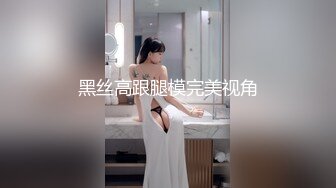 黑丝高跟腿模完美视角