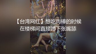 【91龙十三】漂亮小姐姐，尖椒美乳，白嫩细腿，大叔后入干得妹子娇喘不断，抽插蜜穴之声真悦耳