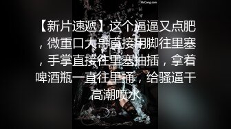 模特骚母狗第三弹