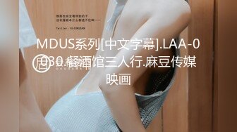 MDUS系列[中文字幕].LAA-0030.餐酒馆三人行.麻豆传媒映画