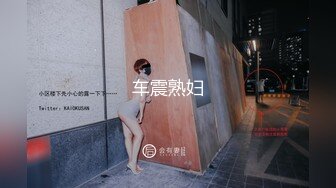 车震熟妇