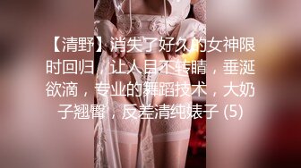 麻豆传媒女神乱爱 MDX-256 性感蕾姆的3P性爱派对 温腥圣诞限定 赵晓涵