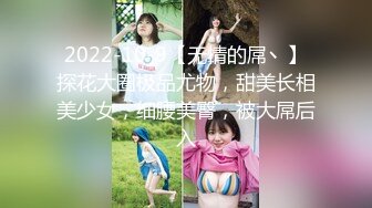 2022-10-9【无情的屌丶】探花大圈极品尤物，甜美长相美少女，细腰美臀，被大屌后入