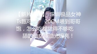 星之迟迟 23年12月计划C明日奈女仆