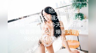 STP34059 人妻出轨日记 3 桥本香菜