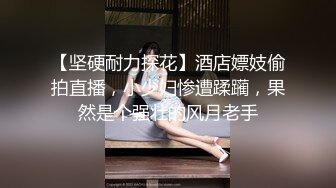 【极品唯美高端顶级】超爆款推特女神『钛合金TiTi』最新内部私拍-极品玉妃旗袍 爆乳近景 露点露脸 (1)