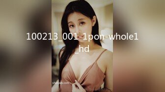 100213_001-1pon-whole1_hd