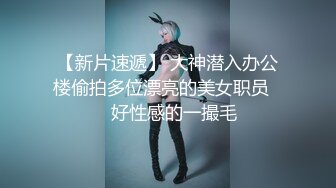 日奈娇 皮质女仆