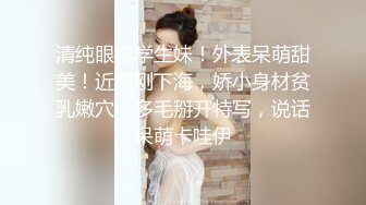 小宝寻花 素颜长沙黑衣妹，身材苗条极妩媚，大床疯狂艹逼！--4K字幕版