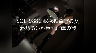 SOE-988C 秘密捜査官の女夢乃あいか巨乳淫虐の罠