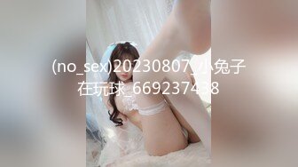 (no_sex)20230807_小兔子在玩球_669237438