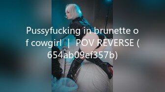 Pussyfucking in brunette of cowgirl ｜ POV REVERSE (654ab09ef357b)