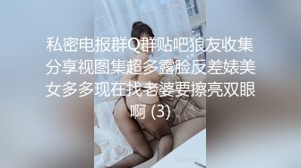 童颜巨乳小毒甜怀孕后复出 【43V】 (3)