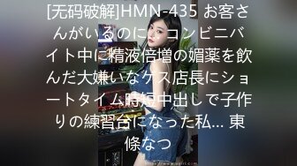 被部长夫人诱惑 结城乃乃