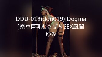 DDU-019(ddu019)[Dogma]密室巨乳むさぼりSEX風間ゆみ