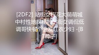 [2DF2] 站街女探花大萌萌城中村性地探秘被站街女调侃低调哥快餐个金发红衣少妇 -[BT种子]