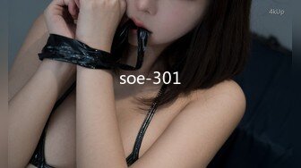 soe-301