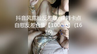 【beauty】高价良家云盘流出，极品反差女友，白富美女神，做爱视频上下皆粉 (4)(下)