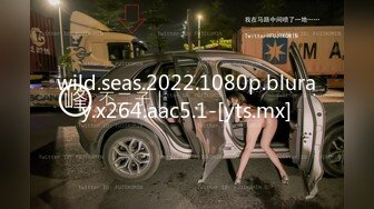 推特宝藏博主沧海S 荆棘兔sm情趣客栈 牛X调教反差母狗视图作品