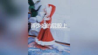 弄少妇的屁股上