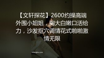 【文轩探花】2600约操高端外围小姐姐，胸大白嫩口活给力，沙发抠穴调情花式啪啪激情无限