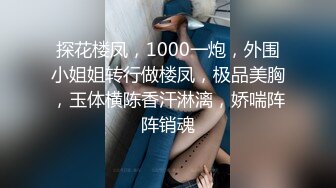   探花楼凤，1000一炮，外围小姐姐转行做楼凤，极品美胸，玉体横陈香汗淋漓，娇喘阵阵销魂