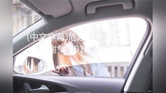 【在线】液液酱 – 黑猫女仆灰丝COS (37P+2V119MB)