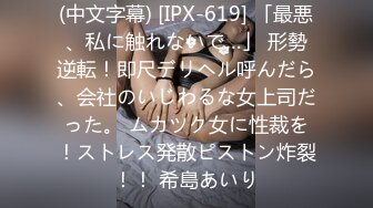 (中文字幕) [IPX-619] 「最悪、私に触れないで…」 形勢逆転！即尺デリヘル呼んだら、会社のいじわるな女上司だった。 ムカツク女に性裁を！ストレス発散ピストン炸裂！！ 希島あいり