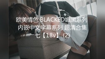 欧美情色 BLACKED媚黑系列 内嵌中文字幕系列 超清合集七【18v】 (2)