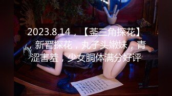 2023.8.14，【菳三角探花】，新晋探花，丸子头嫩妹，青涩害羞，少女胴体满分好评