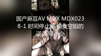 国产麻豆AV MDX MDX0238-1 时间停止器 痴女空姐的逆袭 寻小小