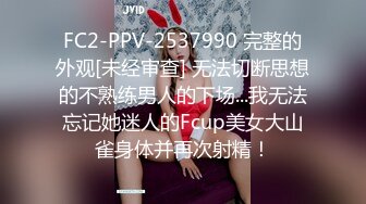 FC2-PPV-2537990 完整的外观[未经审查] 无法切断思想的不熟练男人的下场...我无法忘记她迷人的Fcup美女大山雀身体并再次射精！