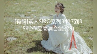 [有码]素人SIRO系列3417到3542作品高清合集,(29)